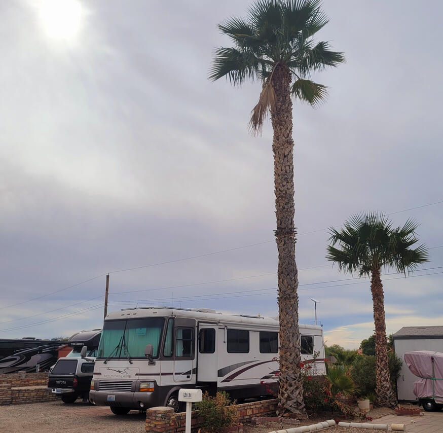 Our Yuma Lot