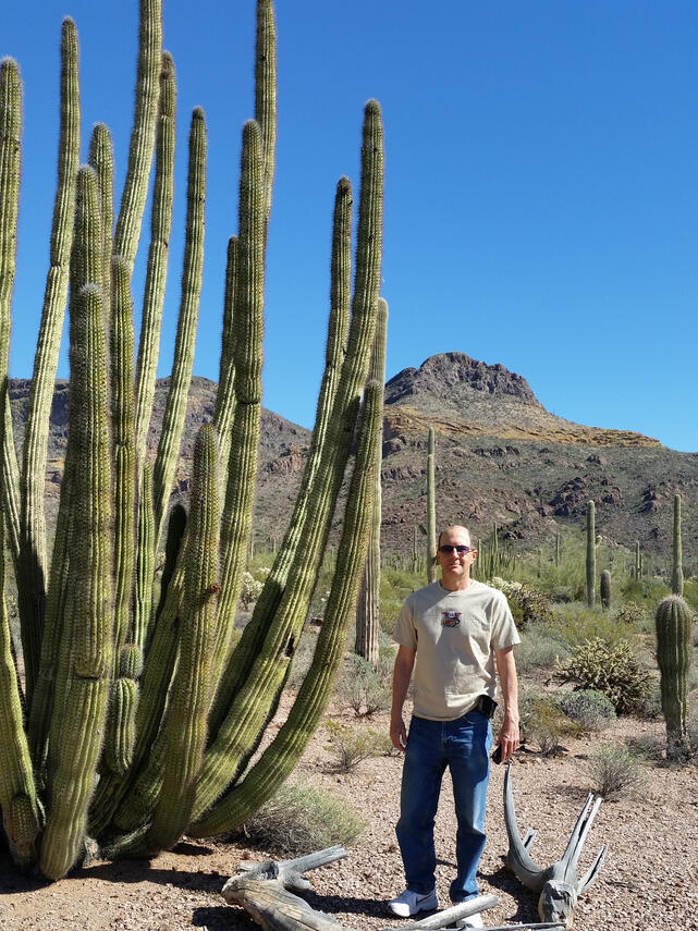 Organ Pipe Cactus