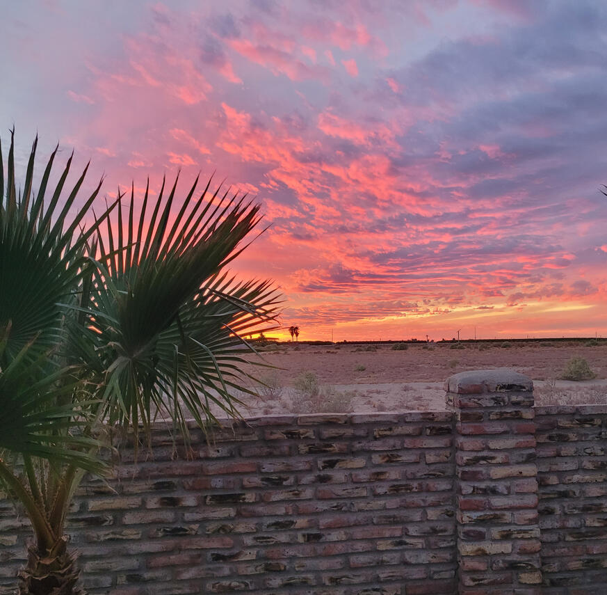 A Stunning Sunset